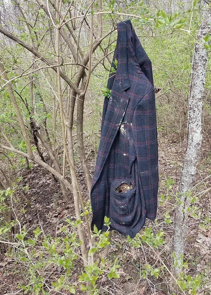 Птицы свили гнездо в кармане старого пиджака в лесу