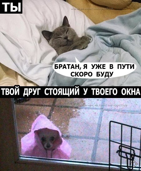 Ситуации, которые знакомы многим