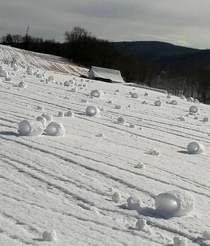 Снежные катушки, скатанные ветром