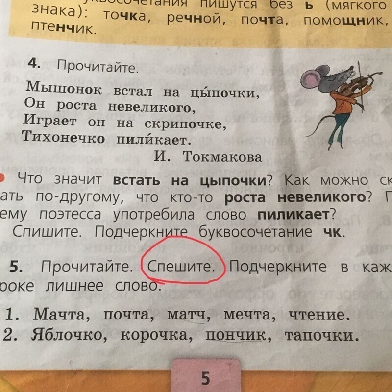 Из учебника по русскому языку