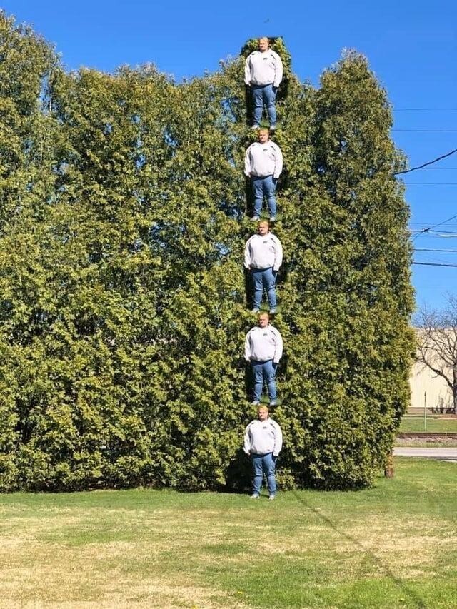 Мой брат очень хотел измерить высоту деревьев в нашем дворе