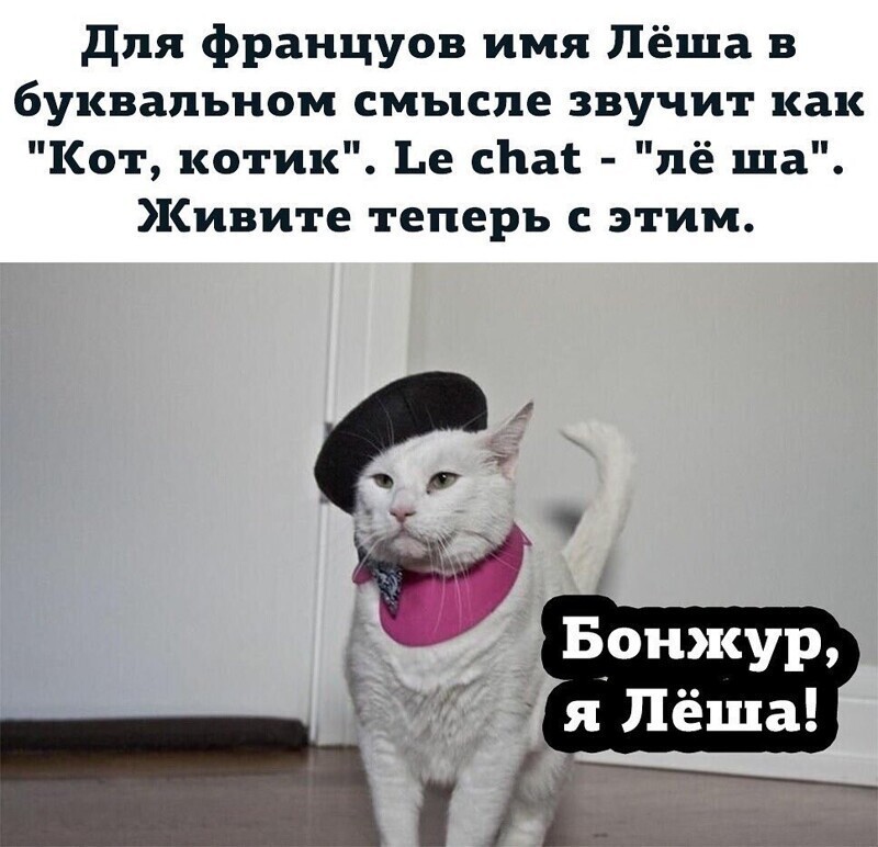 Заметки и комментарии, которые вас точно повеселят