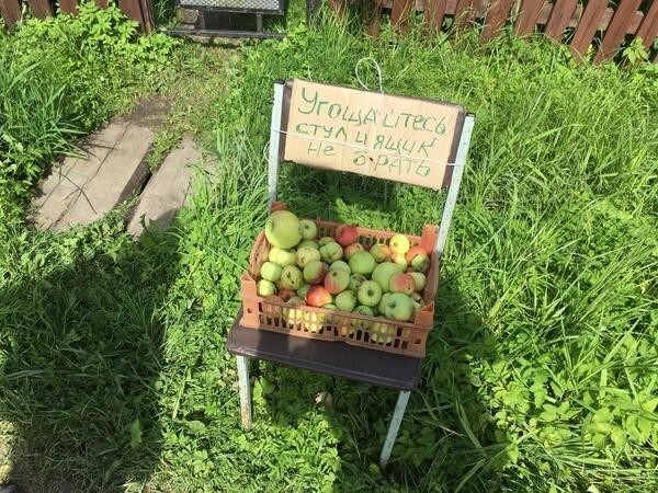 Халявы столько, что девать некуда