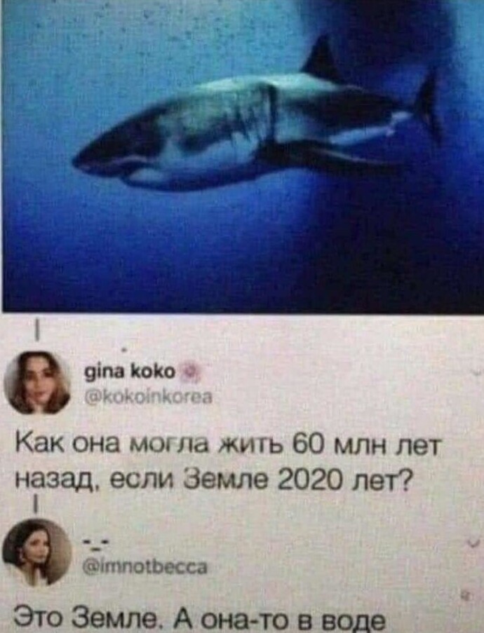 Диалог сверхразумов