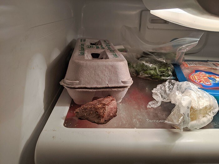"Мой отец не умеет класть продукты в холодильник. Вот посмотрите на этот кусок стейка!"