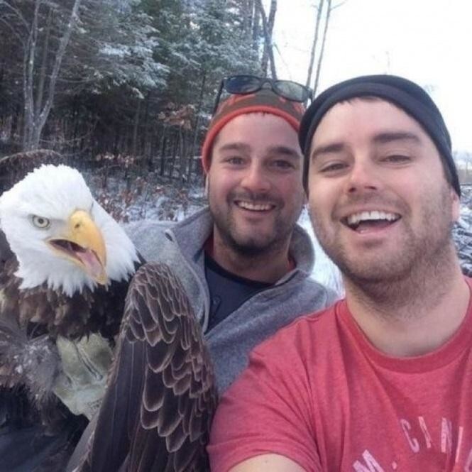 Парни спасли орла из ловушки