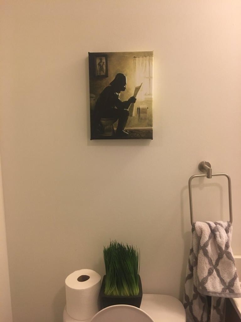 Когда муж решил украсить туалет