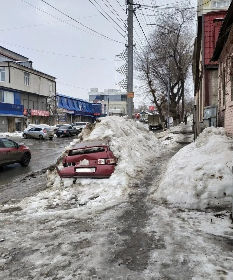 Они робко показываются из-под снега