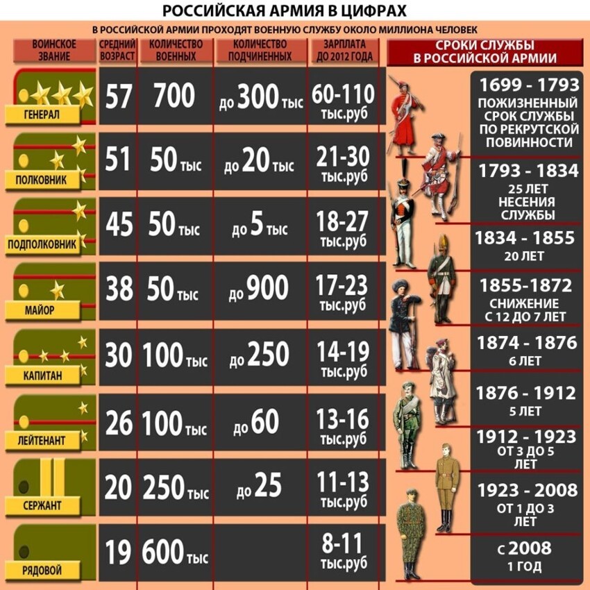 Подетально: жизнь армейская в инфографике