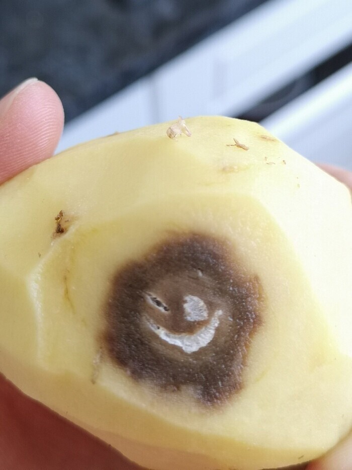 Этот картофель что-то задумал