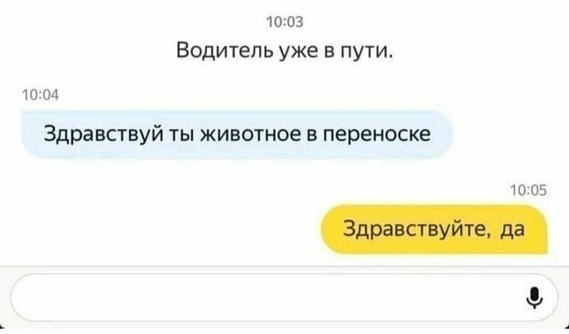 2. Все мы немножечко это животное в переноске