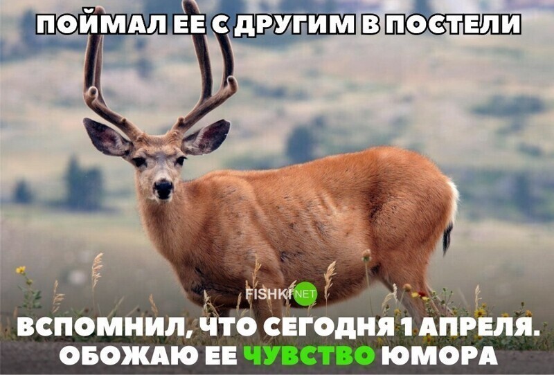 А как вы отметили 1 апреля?