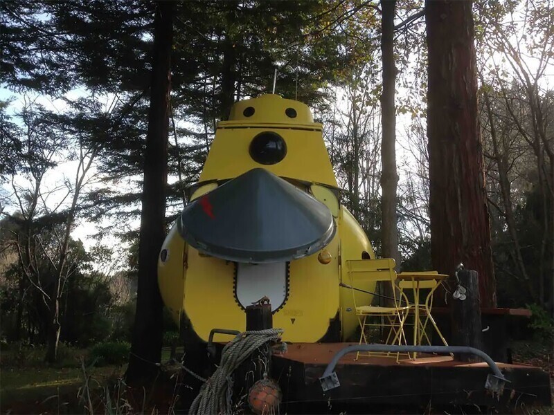 В новозеландском лесу выросла собственная Yellow Submarine