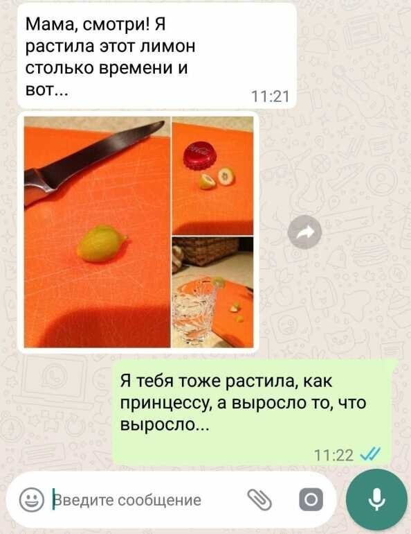 Отцы и дети, вечная сага