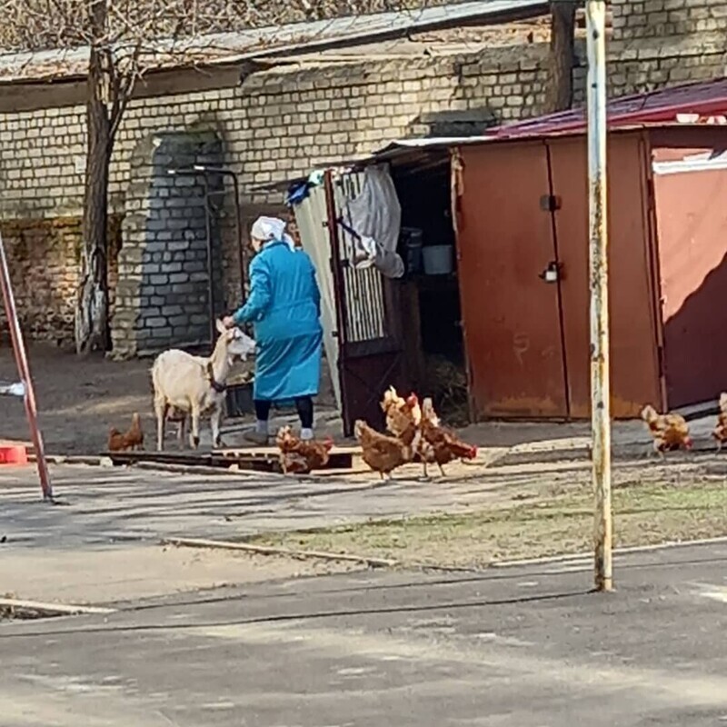 Москва, наши дни