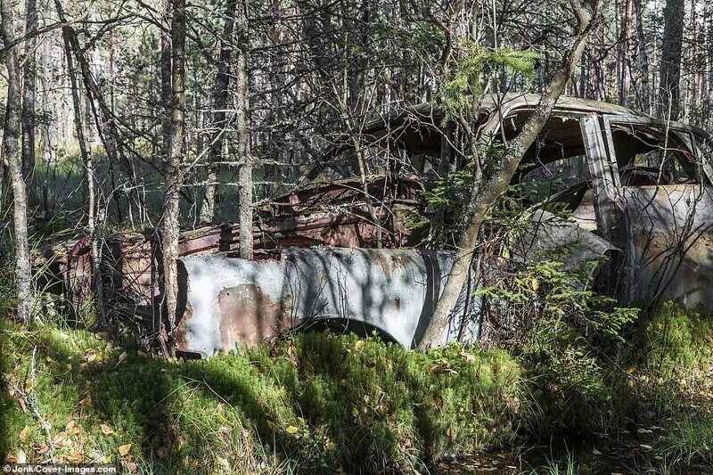 Прогнивший остов машины на бывшей территории свалки стал частью шведского леса