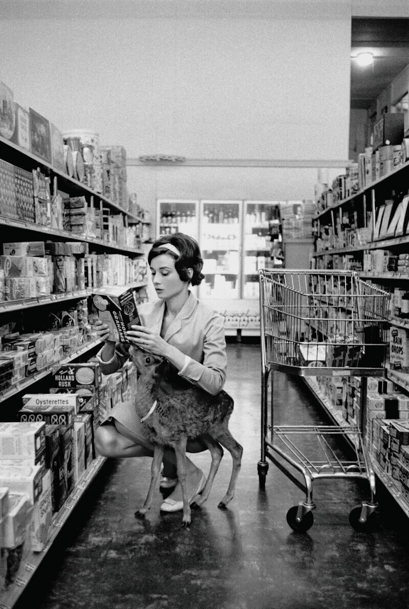Одри Хэпберн в магазине Беверли Хиллз вместе со своим домашним оленем, 1956 год