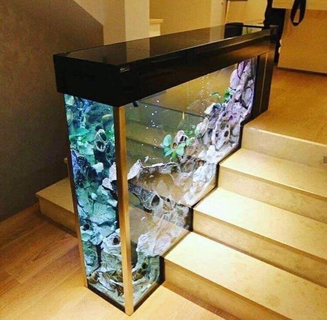 Необычный аквариум