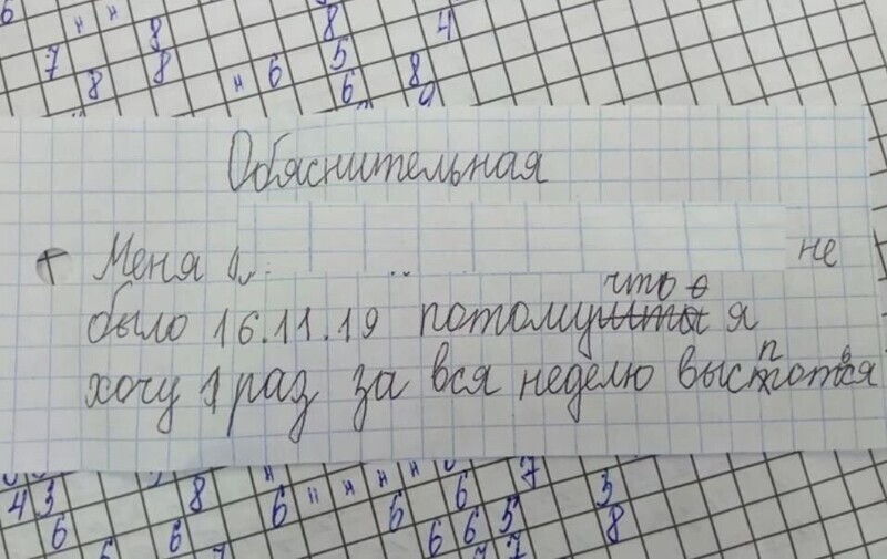 15 объяснительных, которые трудно прочесть без улыбки