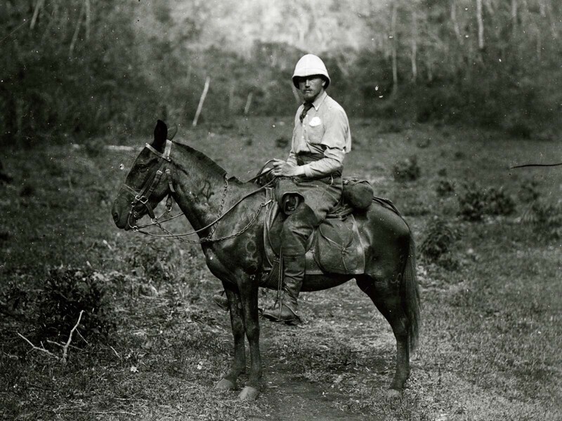 Альфред Модсли на муле во время экспедиции в джунглях, Гватемала, 1890 г.