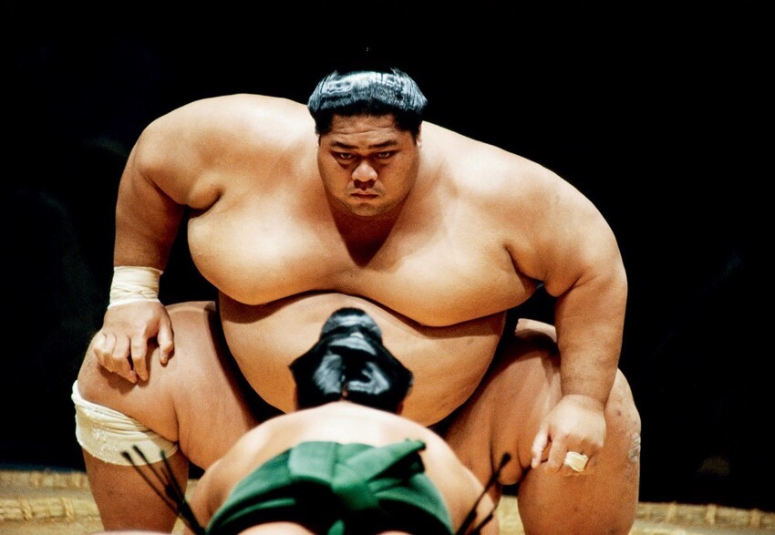 Особая диета борцов сумо