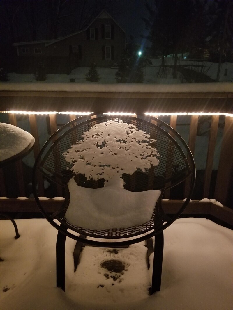 "Это не рисунок дерева. Просто вот так удивительно растаял снег на спинке кресла"