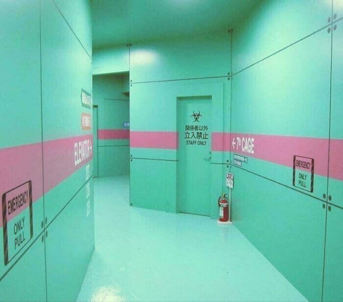 Цветные коридоры