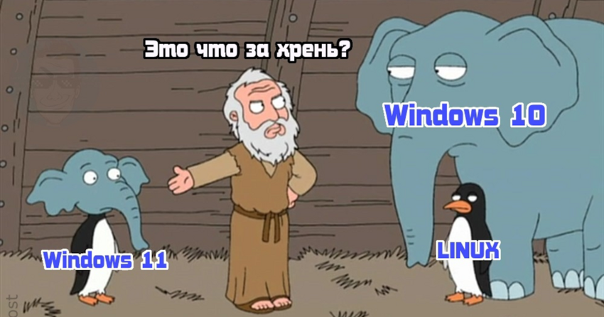 Как в интернете встретили Windows 11