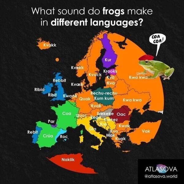 9. Какой звук издают лягушки на разных языках