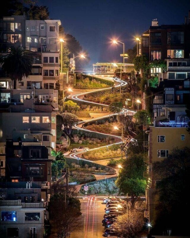 "Чудесная ночь на Ломбард-стрит в Сан-Франциско"