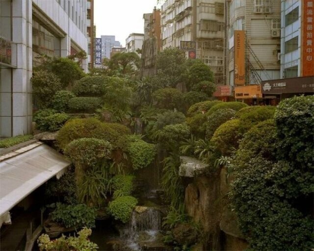 "Вот они, настоящие городские джунгли.Это Тайпей, Тайвань"