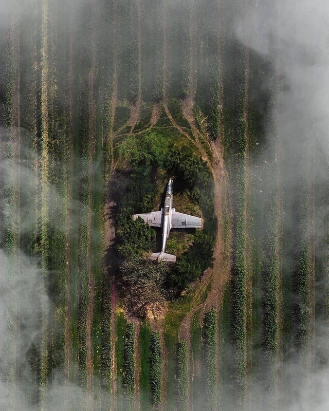 Старый самолет, спрятанный посреди поля в польской деревне