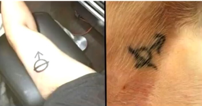 5. Парень сделал такую же татуировку, как у подобранного щенка, не зная, что этот символ означает, что собака кастрирована