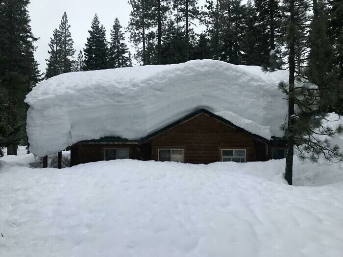 "После сильного снегопада брат с трудом добрался на снегоходе до своего домика в лесу и увидел это"