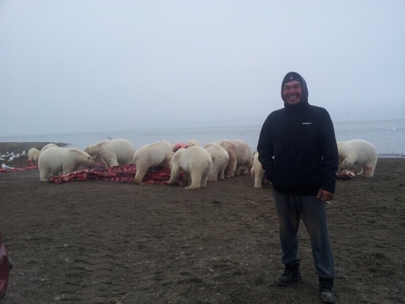 Парень сфотографировался на фоне белых медведей, поедающих тушу кита