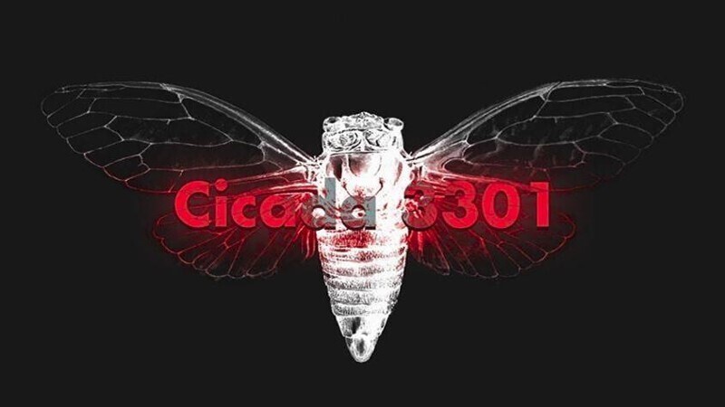 Cicada 3301 - анонимная организация, публикующая хакерские загадки и задачки по взлому шифров в Интернете. Есть версии, что с помощью этого сервиса набирают хакеров в ряды подпольных групп или отбирают талантливых кандидатов в спецслужбы