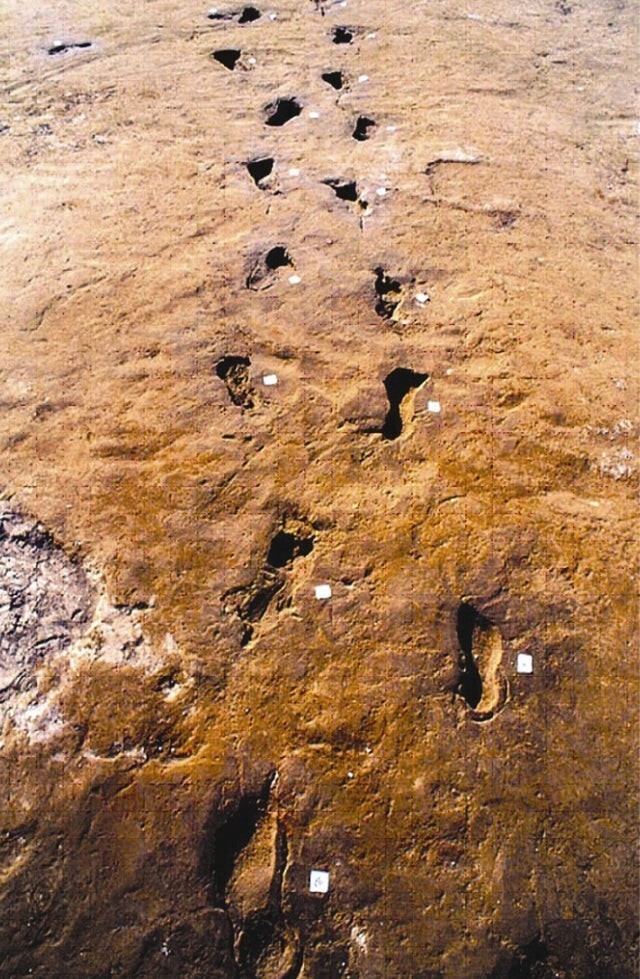 13. Сохранившиеся следы и отпечатков копыт животных, которые спасались во время извержения вулкана Авеллино 2000 лет назад перед тем, как на стихия разрушила Помпеи