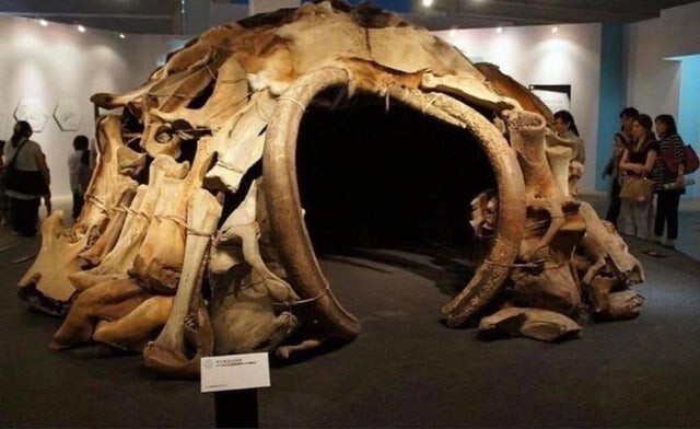 2. Во время раскопок в Межичире, в 1965 году, археологи обнаружили 4 хижины из костей мамонта. Взораст строений - 15 000 лет
