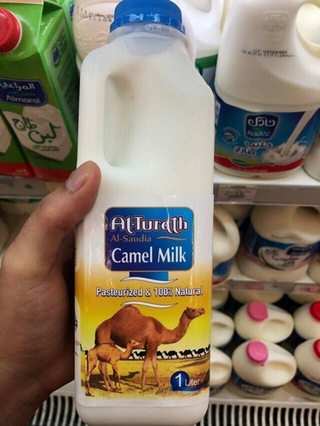 В Саудовской Аравии в супермаркете можно купить верблюжье молоко в бутылках