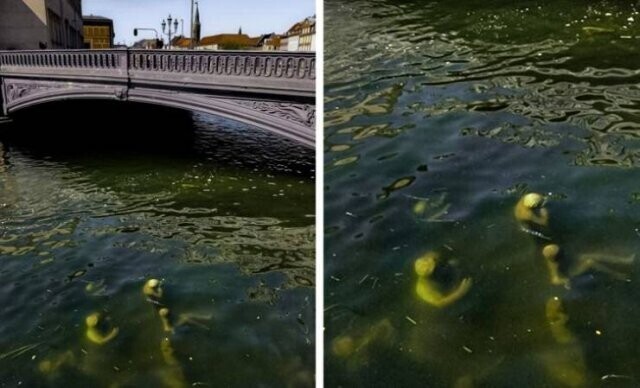 В одном из каналов Копенгагена можно увидеть статуи, стоящие под водой