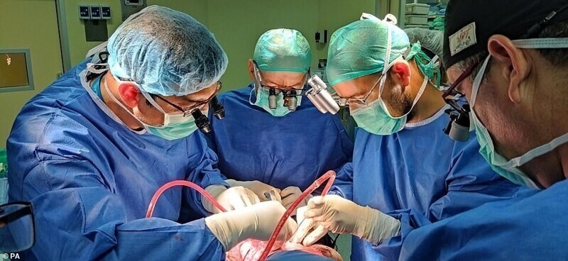 Израильские медики успешно разделили двух сестер-близняшек