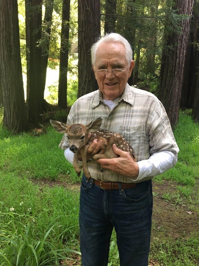 Мой дедушка спас оленёнка
