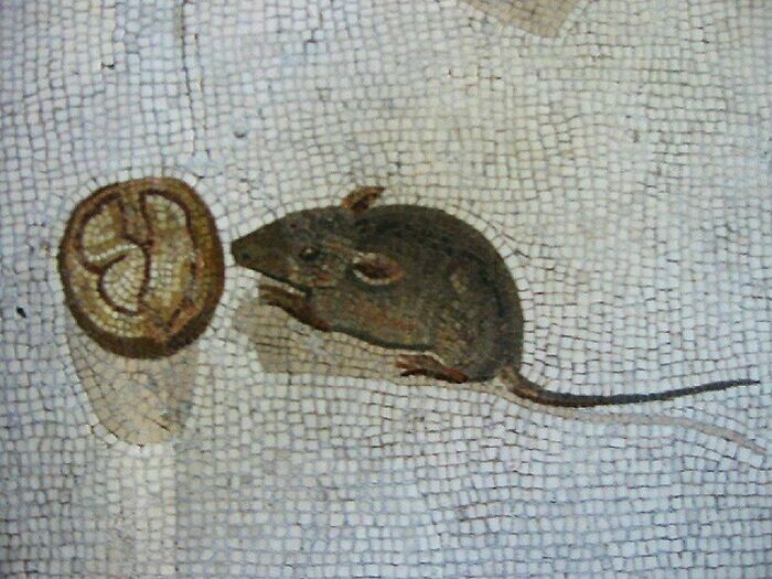 13. Фрагмент мозаики "Неприбранный пол" работы Гераклита, на котором изображена мышь, поедающая грецкий орех. 2 век н.э.