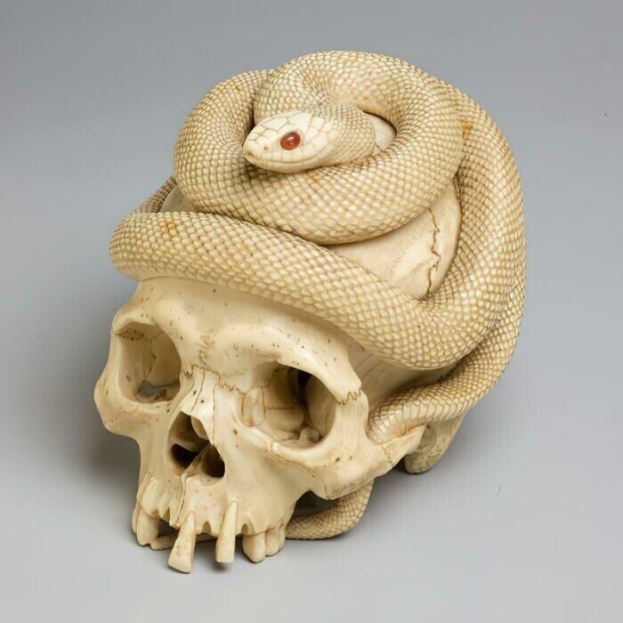 14. Вырезанный из слоновой кости череп и свернувшаяся спиралью змея с сердоликовыми глазами. Япония, период Эдо, 1860 год