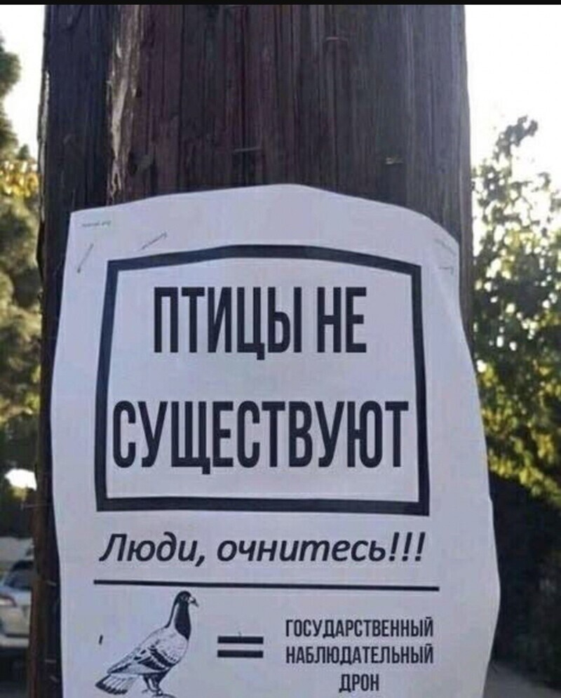 1. Они за нами постоянно следят