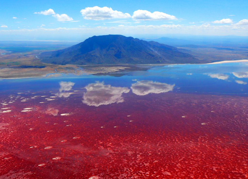 10 ужасов смертельно опасного озера в Танзании