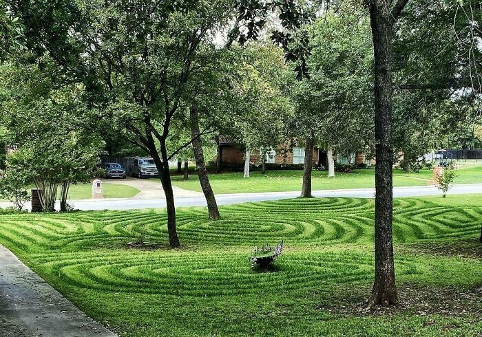 1. "Моя мама делает "круги на полях", когда стрижет газон"