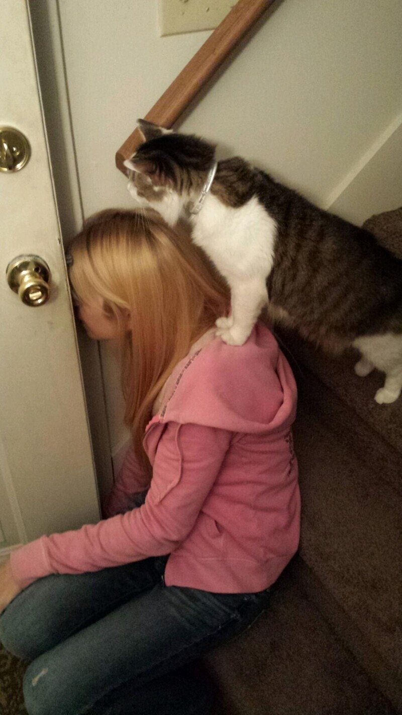 Жена и кошка подглядывают, как ест маленький котёнок. Они просто боятся его спугнуть