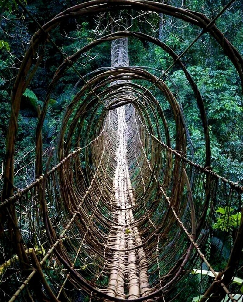 Это искусственный деревянный мост в Индии