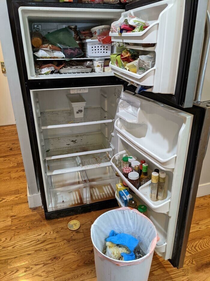 "Приехал домой после отпуска и обнаружил, что холодильник и морозилка не работали 10 дней.."